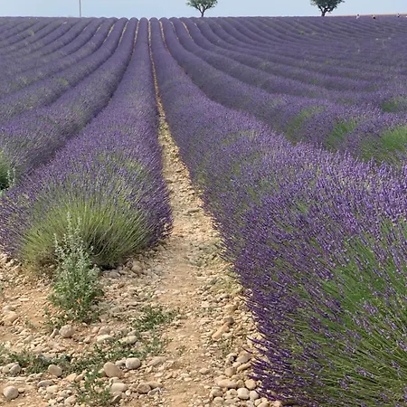 Nuitee En Provence شقة فندقية