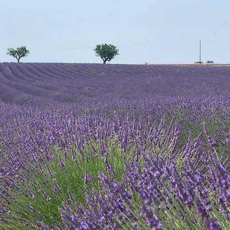 شقة فندقية Nuitee En Provence 2*